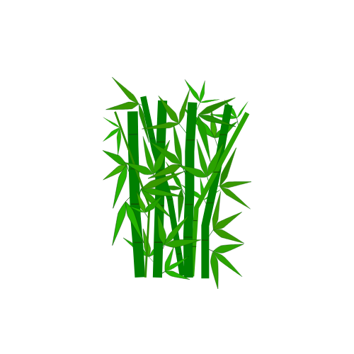 Professional Bamboo Landscapers