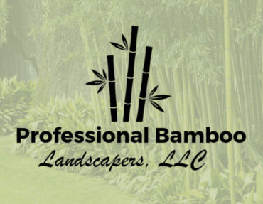 Bamboo-Removal-Bamboo-removal-nj-bamboo-removal-specialists-bamboo-containment-750x394