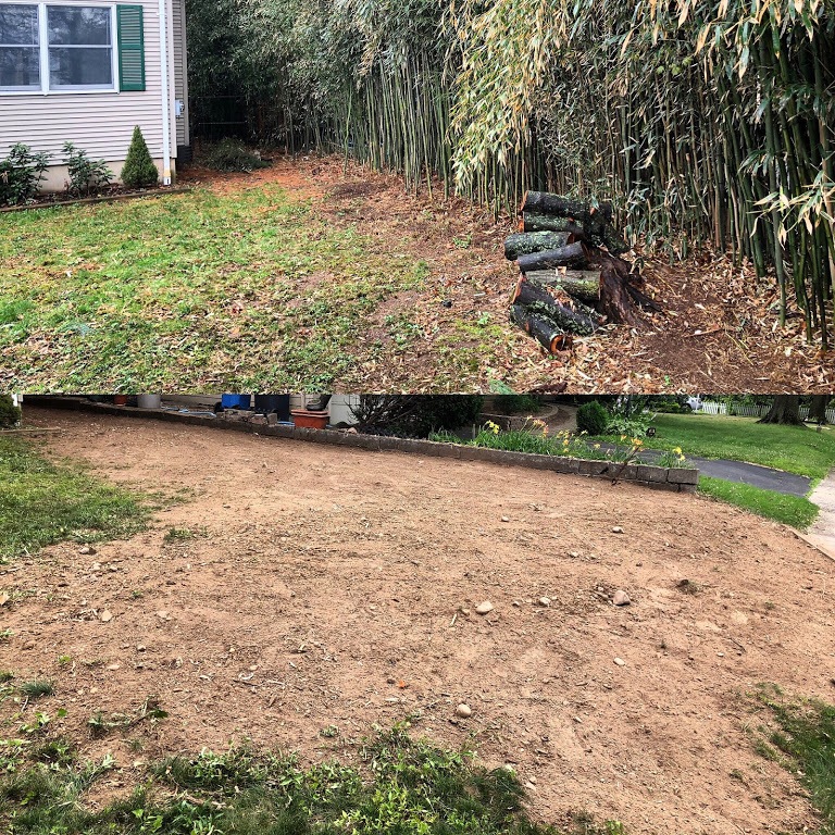 Metuchen-Bamboo-Removal-Before-and-After